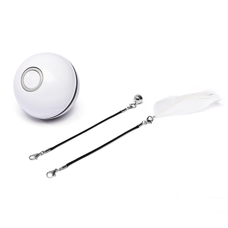 Smart Gravity Ball (Interactive Cat Toy)