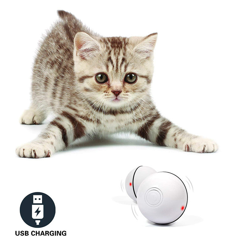 Smart Gravity Ball (Interactive Cat Toy)